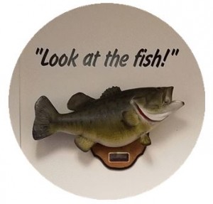Look_at_the_fish_round